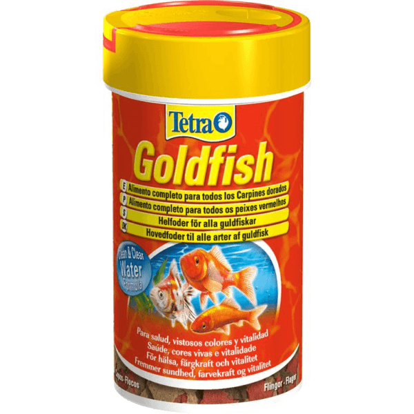 Tetra Goldfish