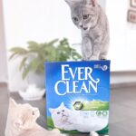 Ever Clean Extra Strong Clumping Scented