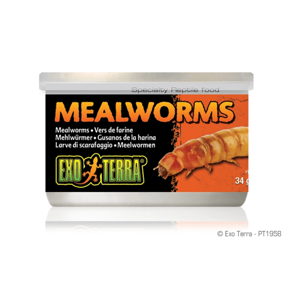 Exo Terra Mealworms