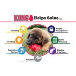 Kong Puppy Aktivitetsleke