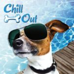 AFP Chill out ice bandana,