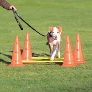 agility hinder obstacle pylon