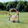 Trixie Agility Ring Hinder