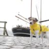 Trixie Vimy Rain Coat Regndekken Hundekken