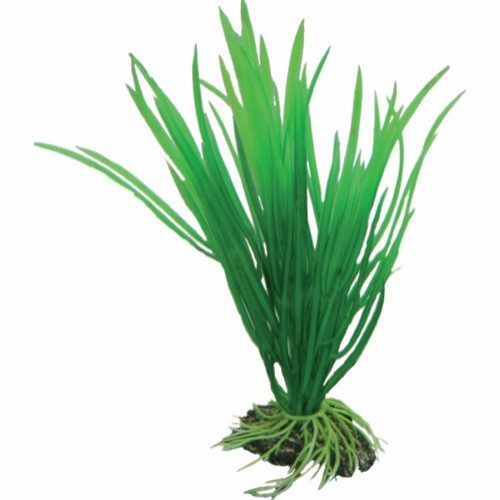 Plastplante Cyperus 16cm