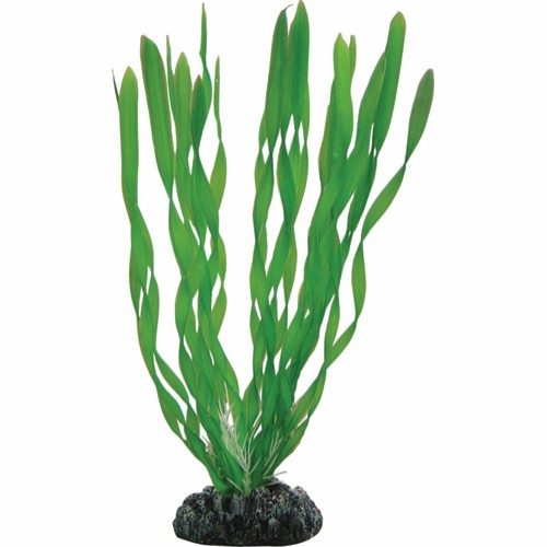 Plastplante Vallisneria, flere størrelser