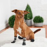 Go Fresh PET BOOTIES®-helårs støvler til hund