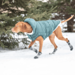 Go Fresh PET BOOTIES®-helårs støvler til hund