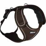 Curli Belka Harness Hundesele Refleks