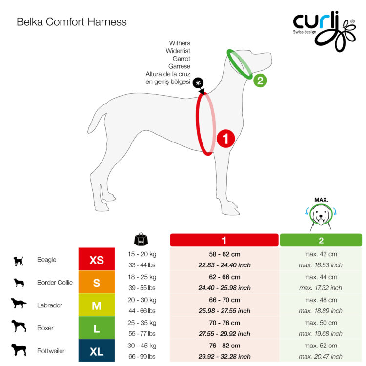 curli belka comfort hundesele