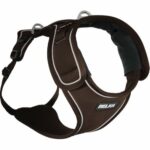 curli belka harness hundesele refleks