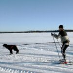 Baggen Softbelt Race X2 grå