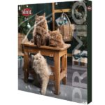 Premio adventskalender til katt