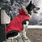 Canada Pooch North Pole Parkas