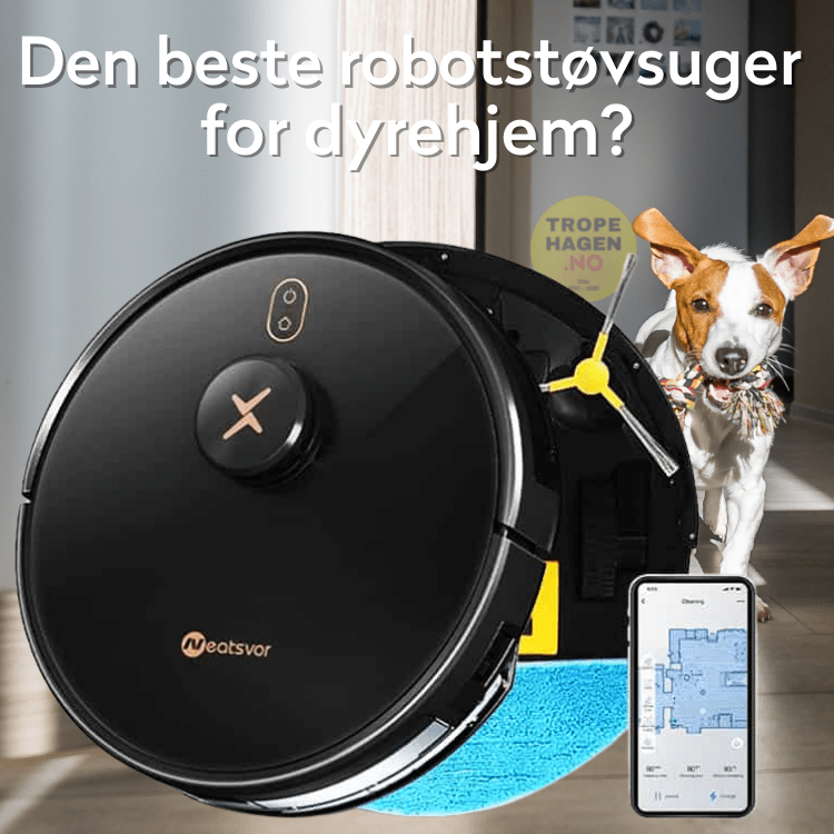 Gør det tungt historie endnu engang Neatsvor X600 Pro Robotstøvsuger (BEST I TEST 2021) - Hund i Norge