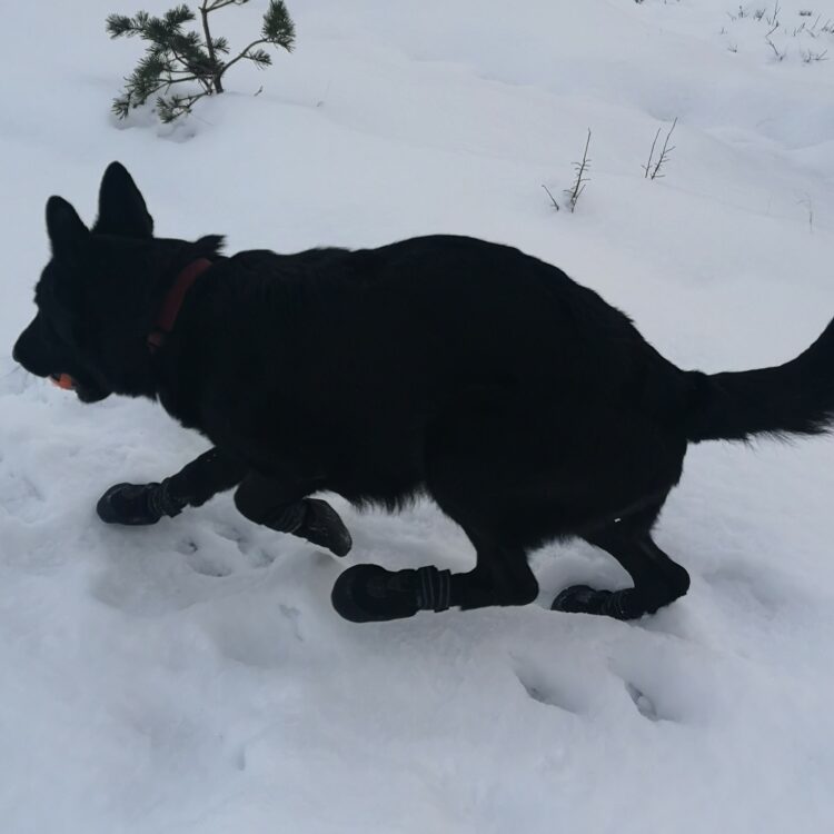 Kraftig bred potesokk med dobbel borrelås