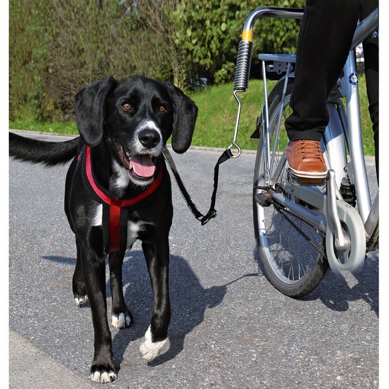 Sykkelfeste til liten og mellomstor hund biker-sett