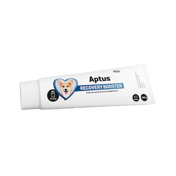 APTUS Reconvalescent Dog 100g