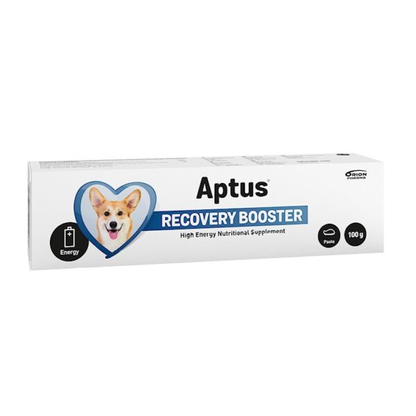 APTUS Reconvalescent Dog 100g