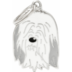 Myfamily Bearded collie