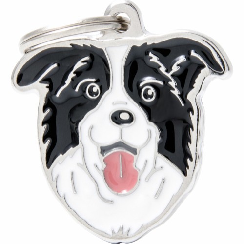 Myfamily Border collie IDtag